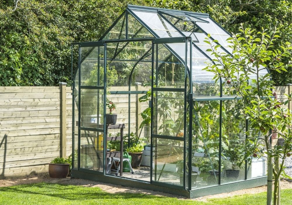greenhouse-in-a-garden-near-wooden-fence