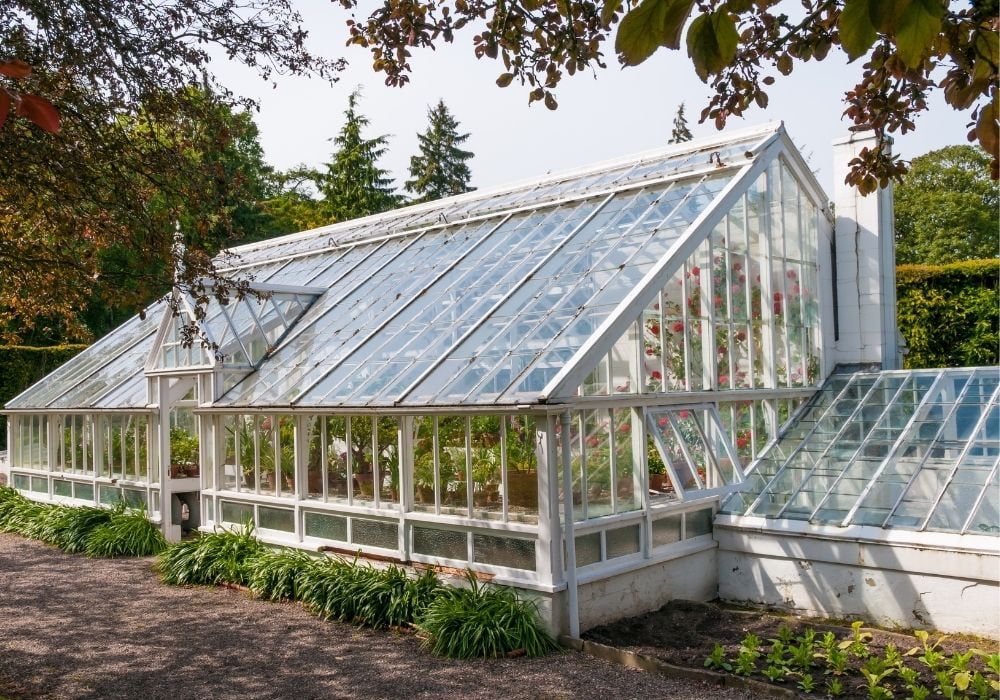 traditional-victorian-greenhouse